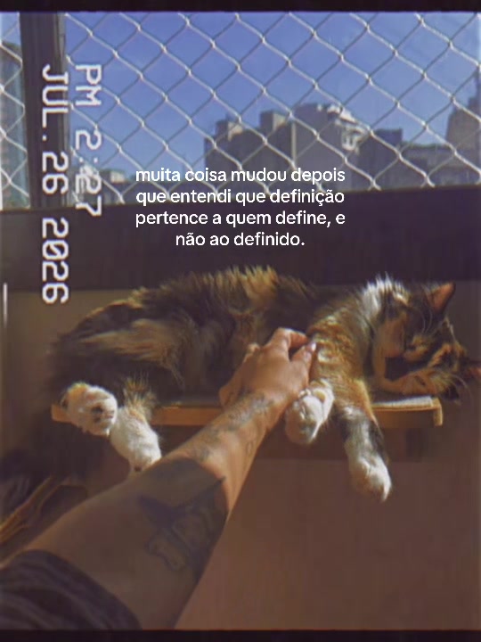 @Vanessa Abreu