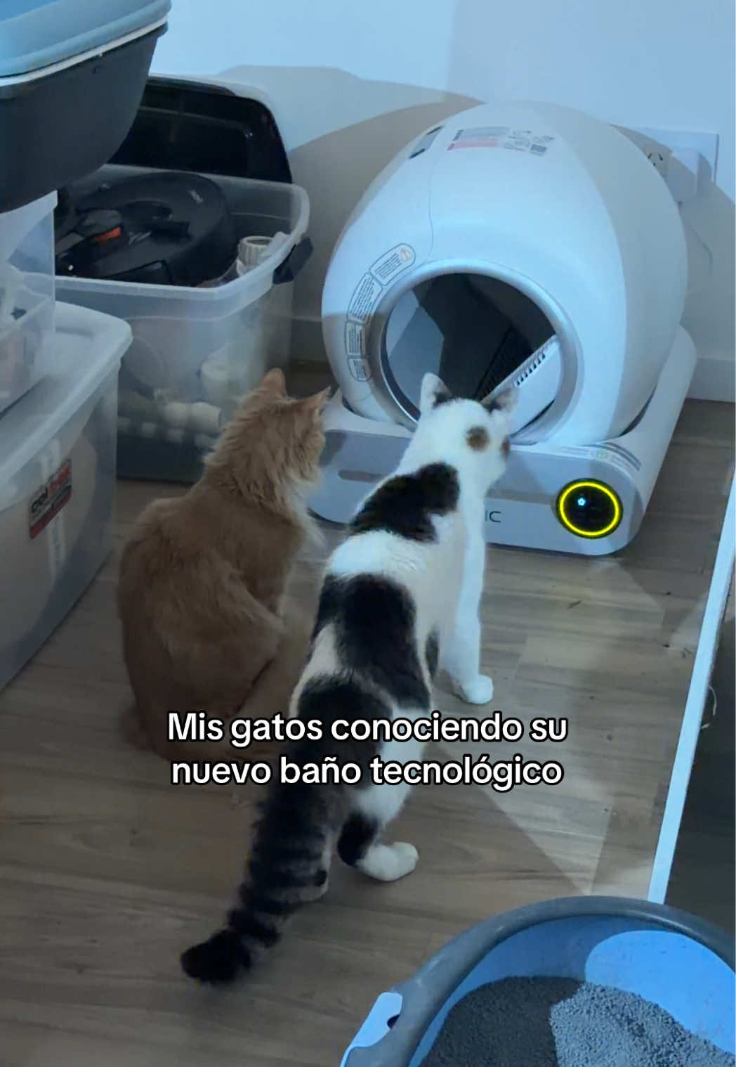 @Milena