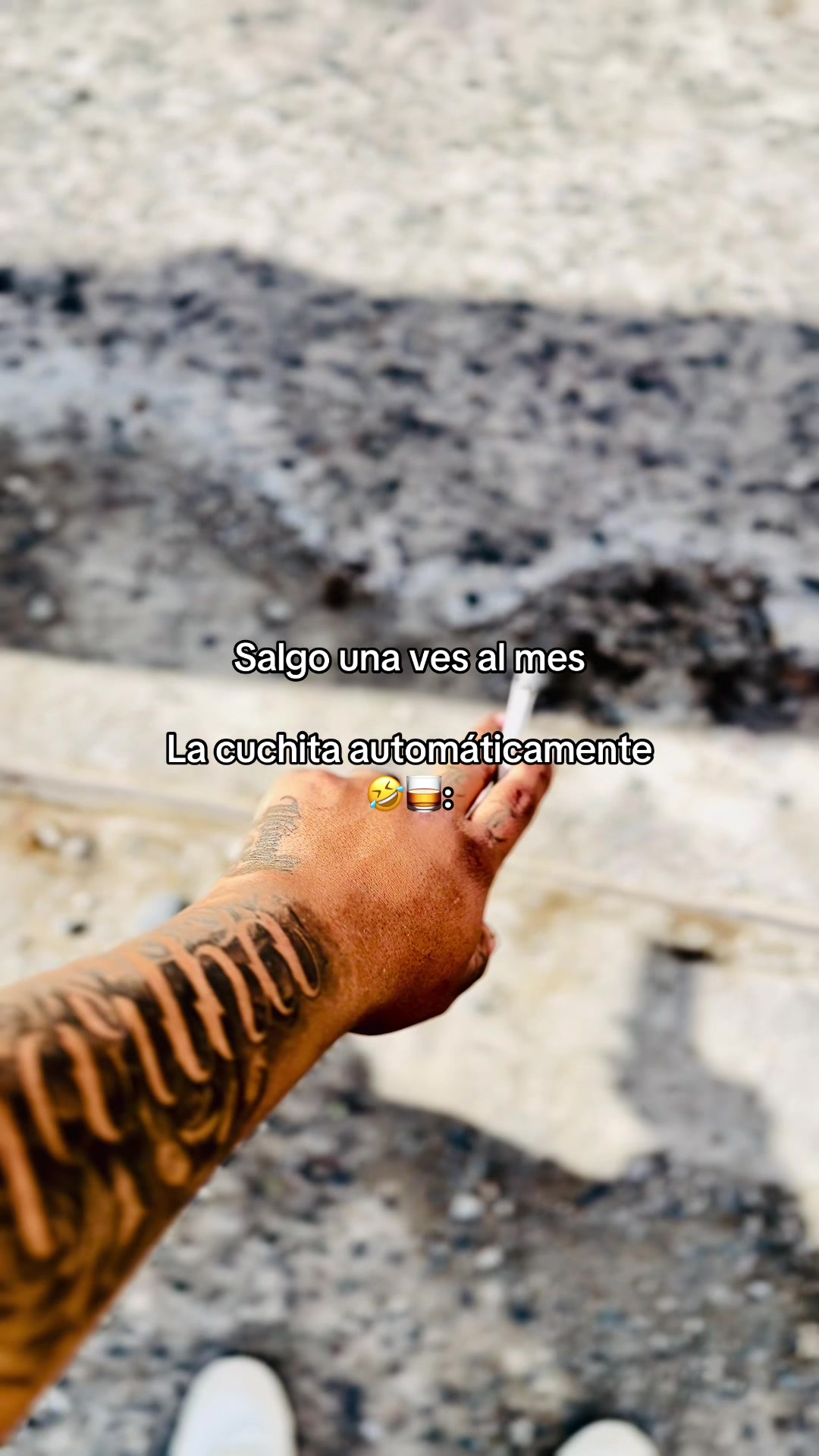 @B E R M E O ♛