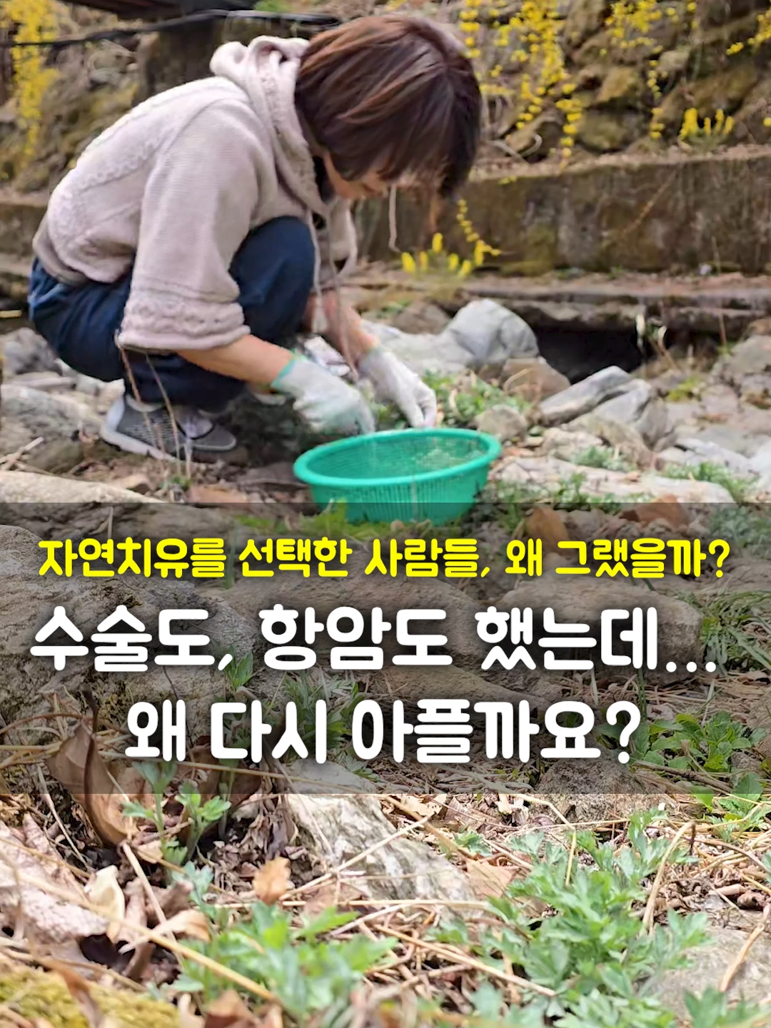 @들꽃잠