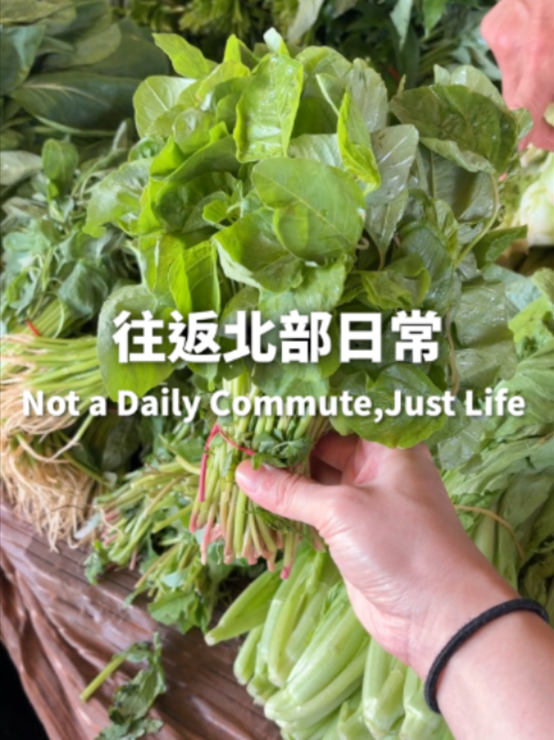 @桃漂屁屁雅