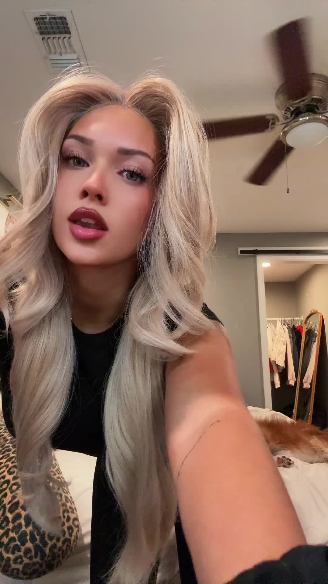 @Caterpillar