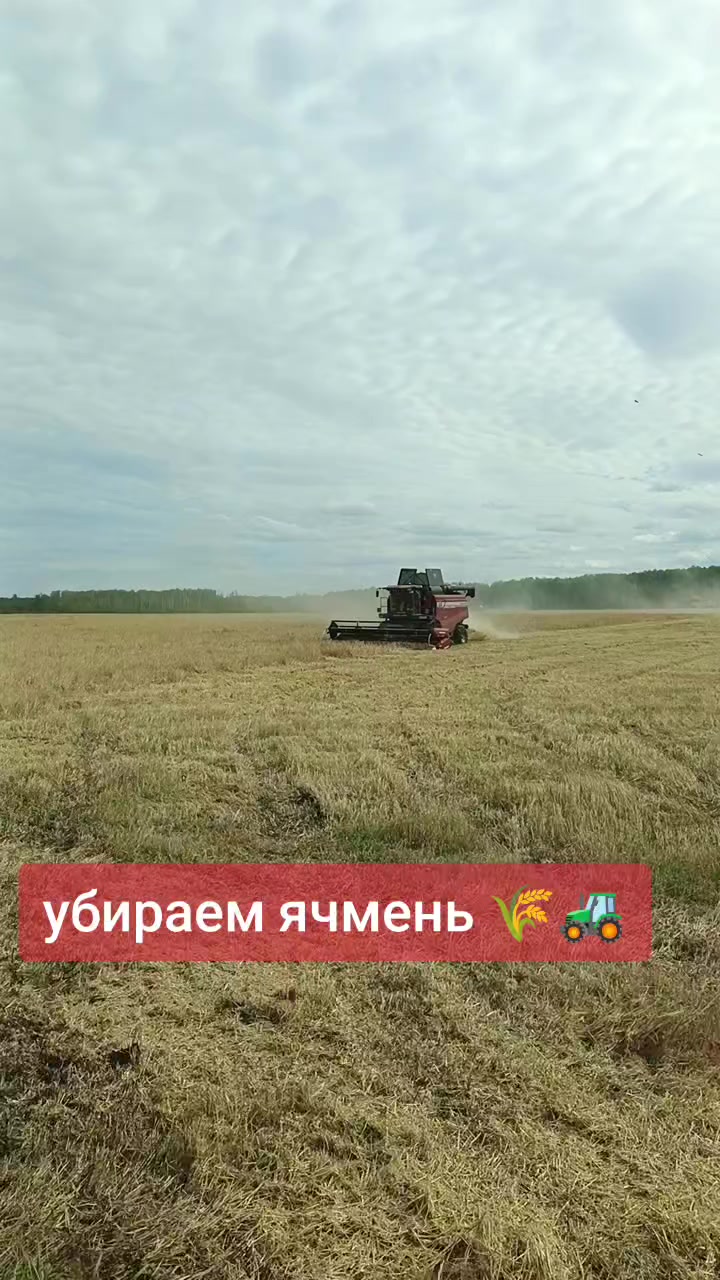 @Dimon _196_