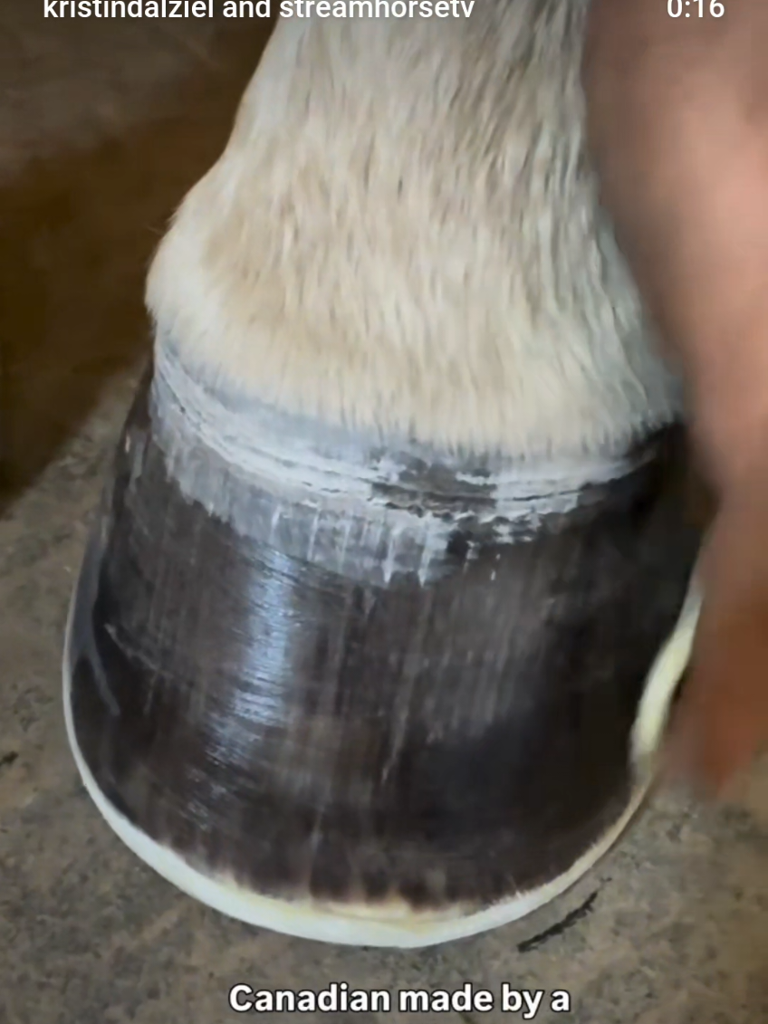 @streamhorse