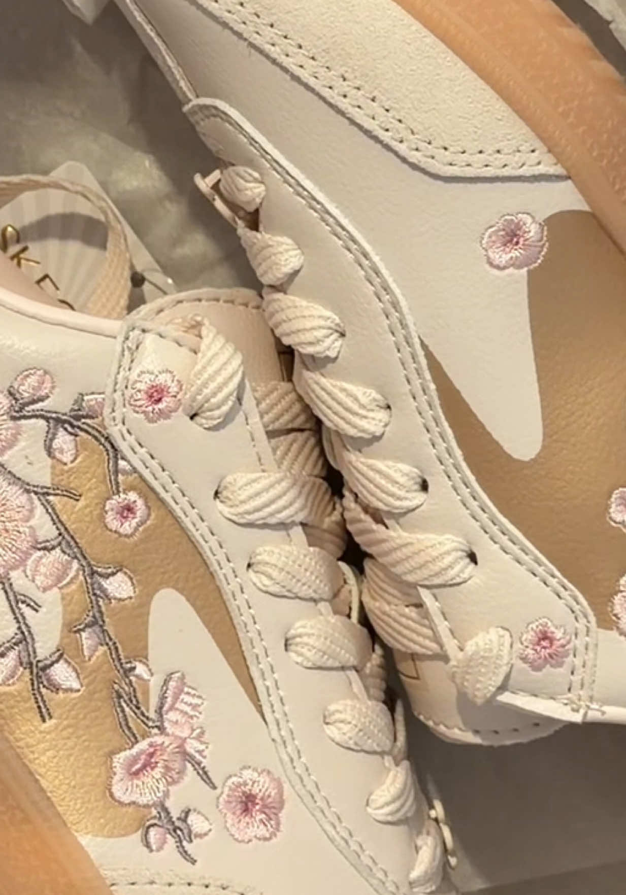 @prabina 🪷