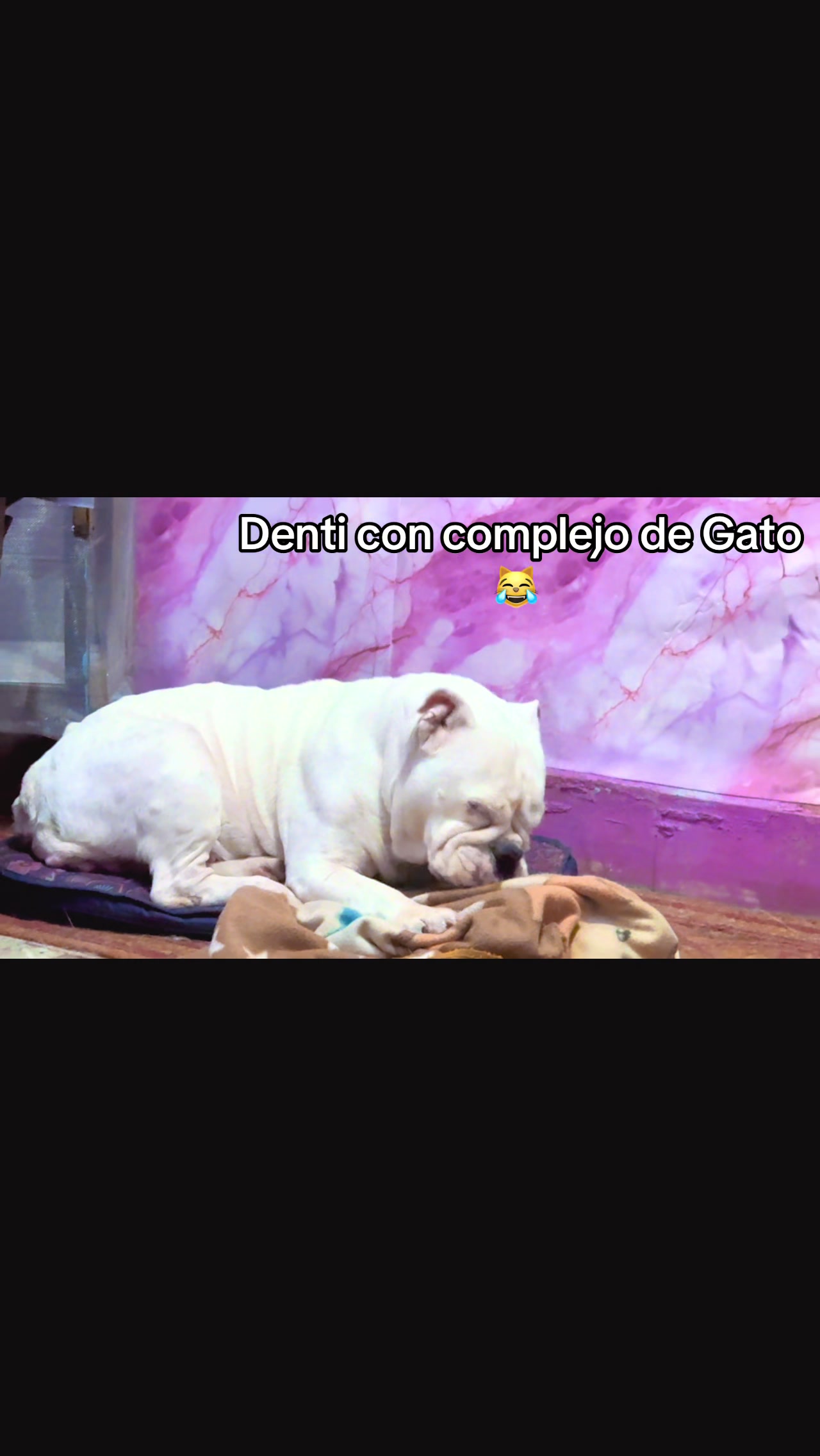 @Banduky Gama