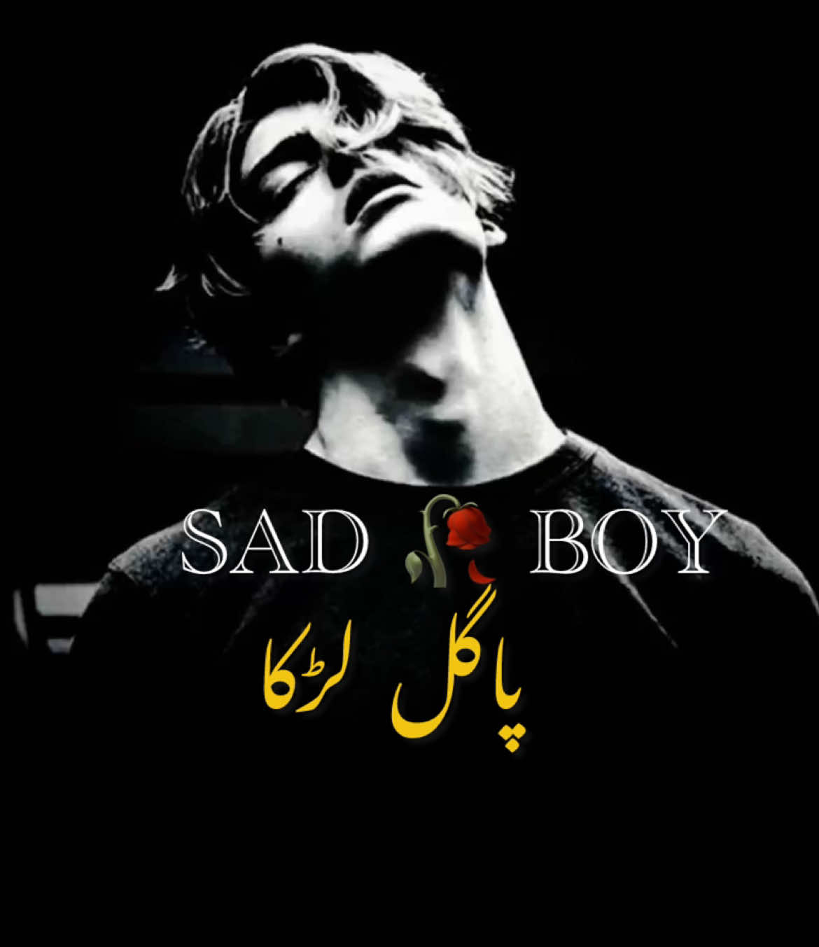 @😢 SAD BOY🎶