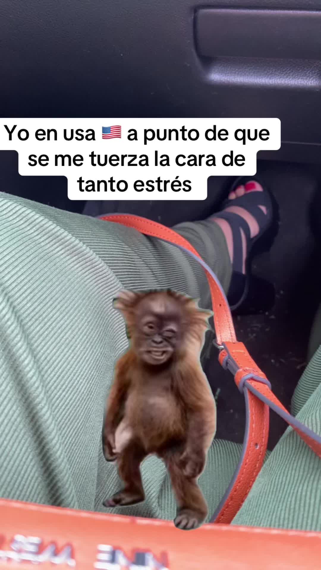 @Xioma
