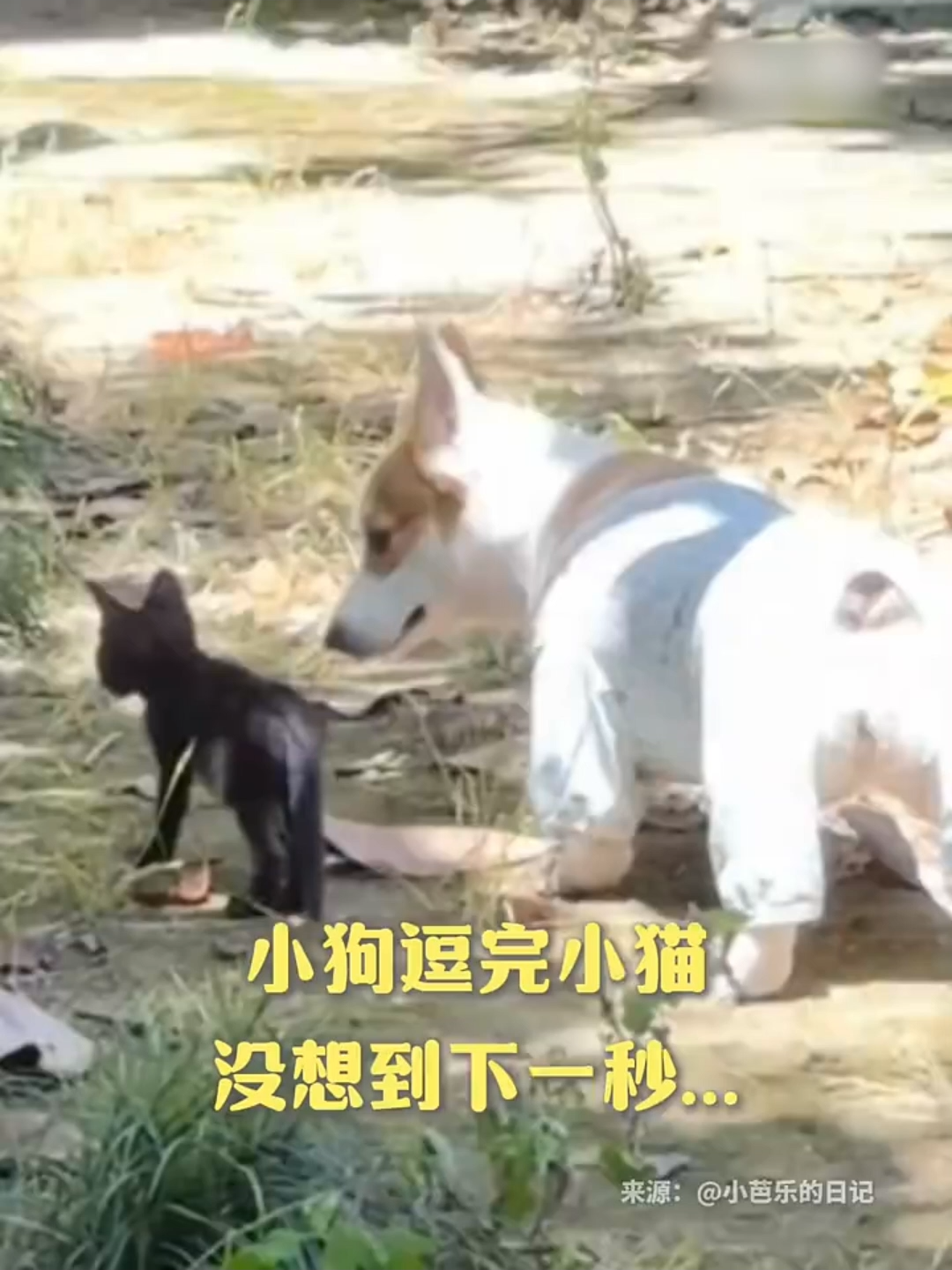 @闽南风～