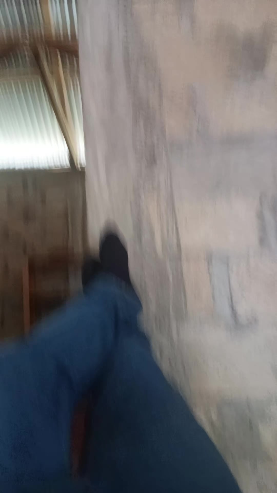 @el gallo 502