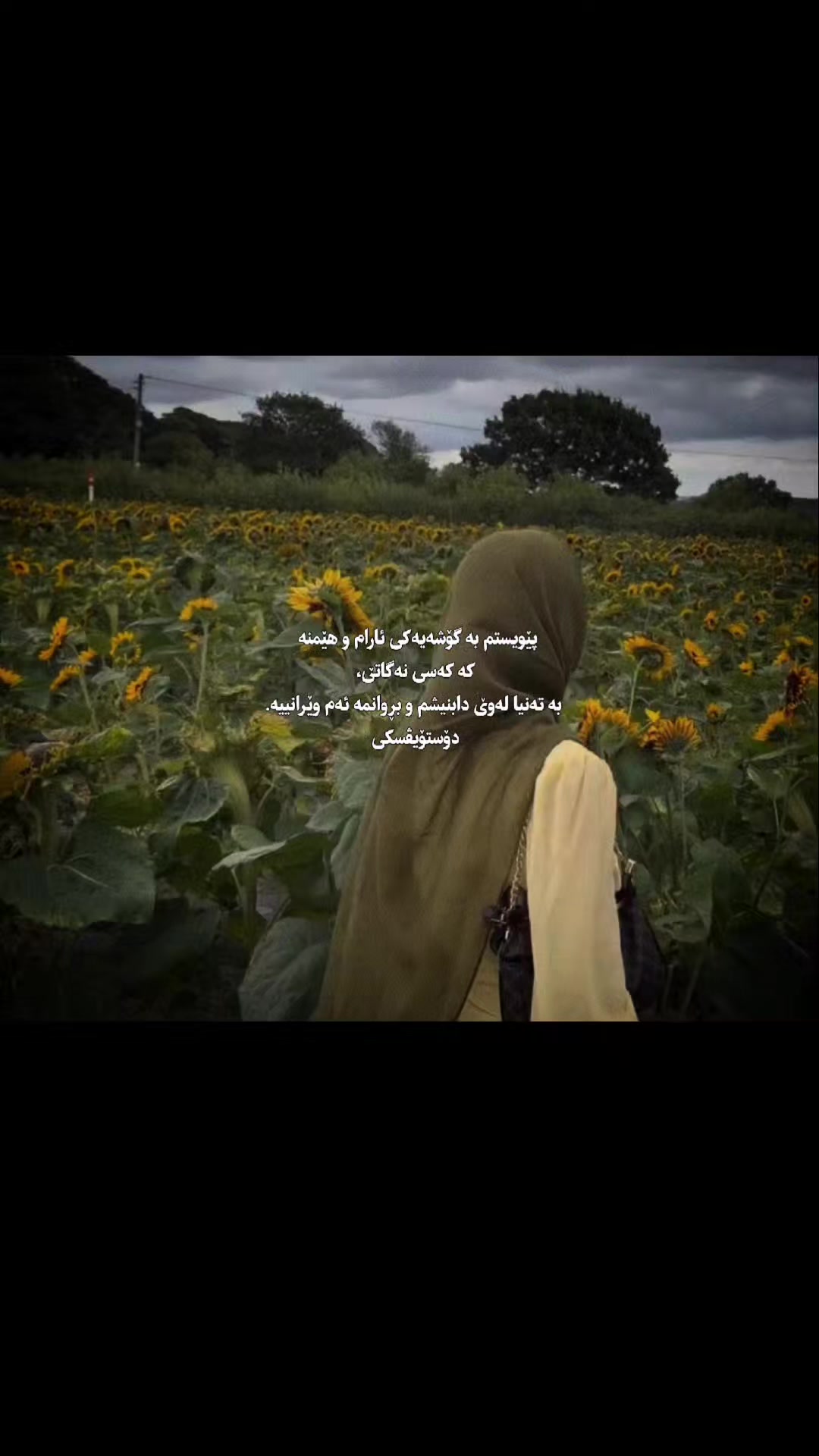 @مـهربـون🌻;