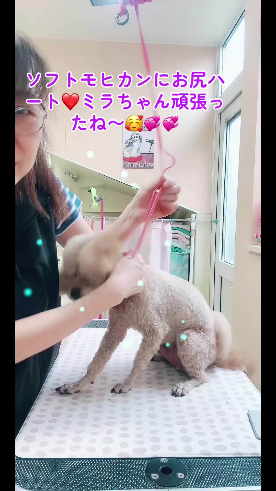 @❤️ぷりママ❤️