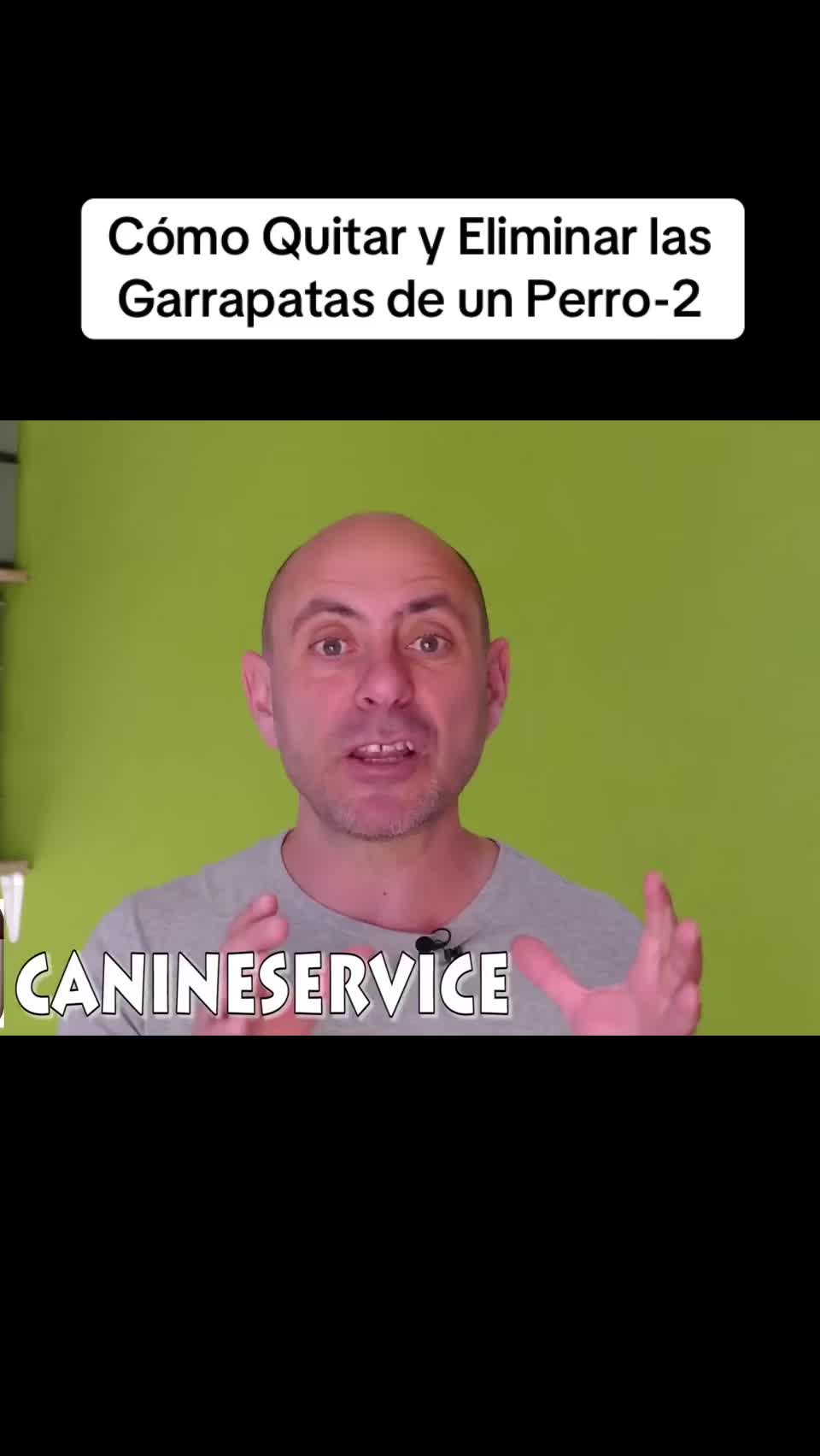 @DangCayToptop Beta