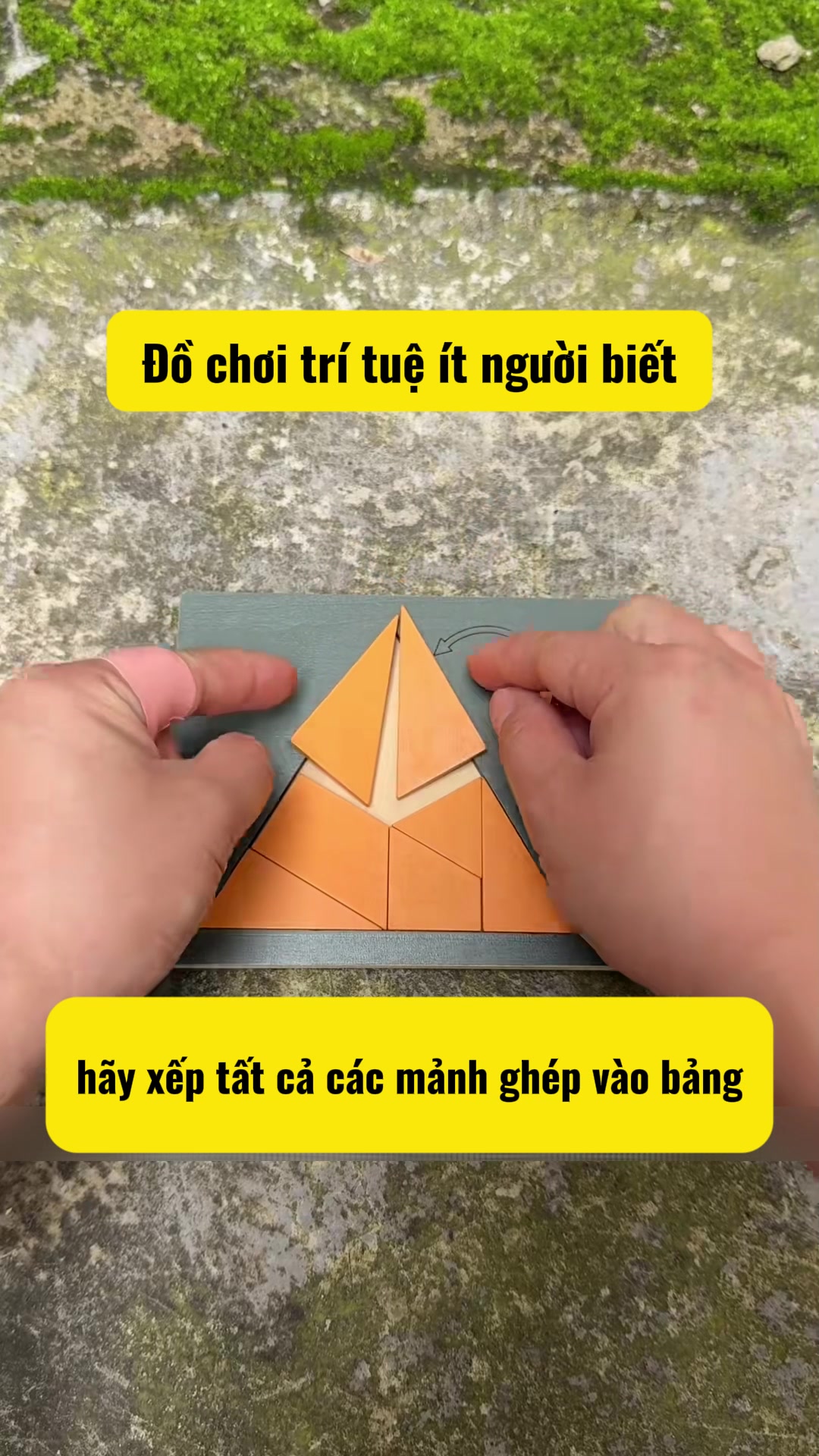 @Đồ Chơi Trí Tuệ