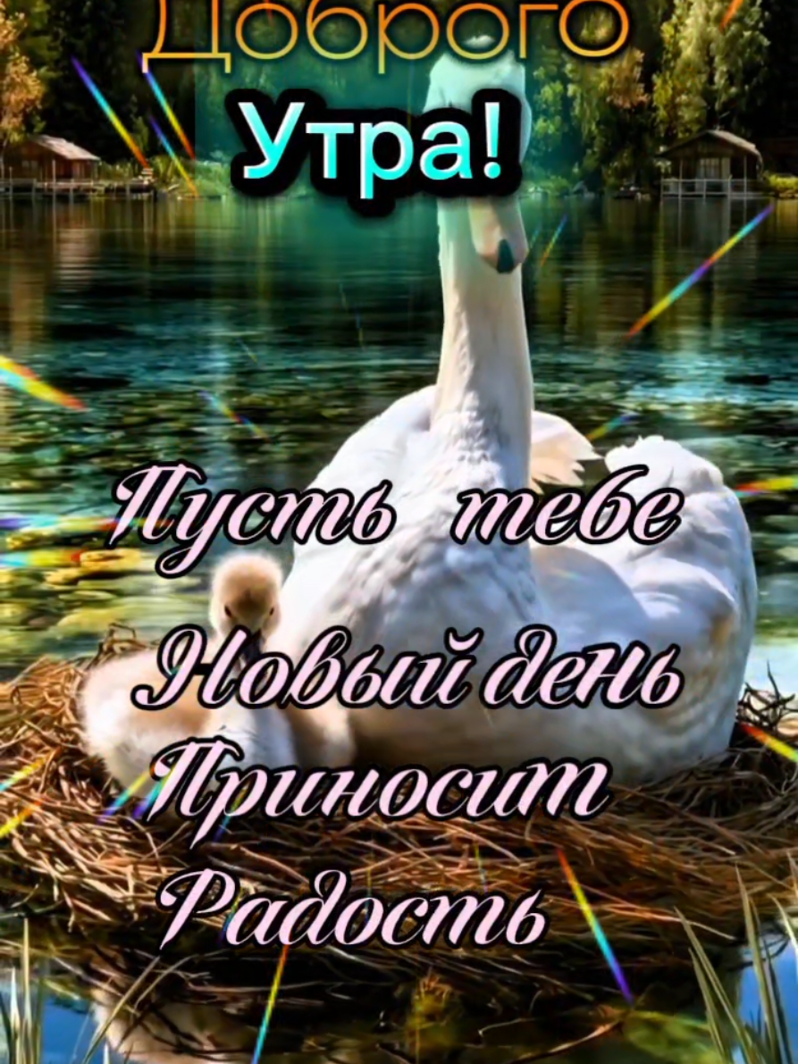 @🇧🇾 Магер Елена ♈