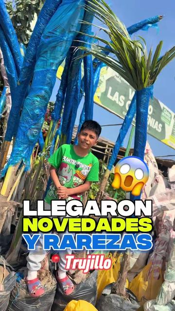 @VIVERO LAS G🦁RDENIAS|TRUJILLO