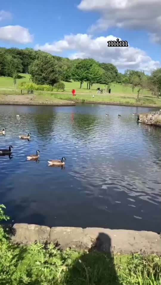 @m.a.m_2428