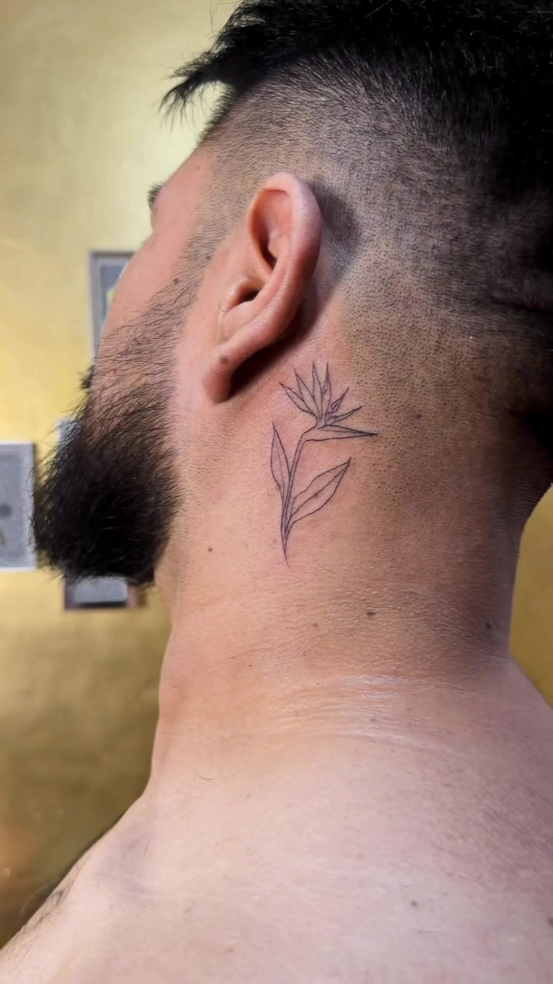 @Gatostudiotattoo