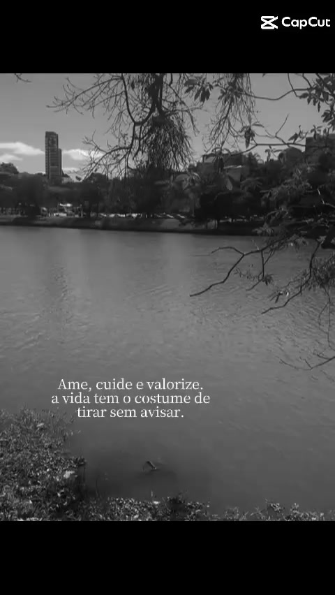 @Tailane silva