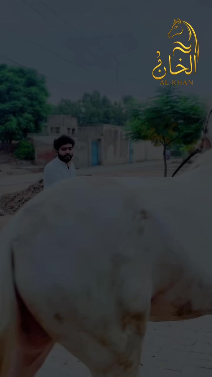 @صیام خان سدوزئی❤️