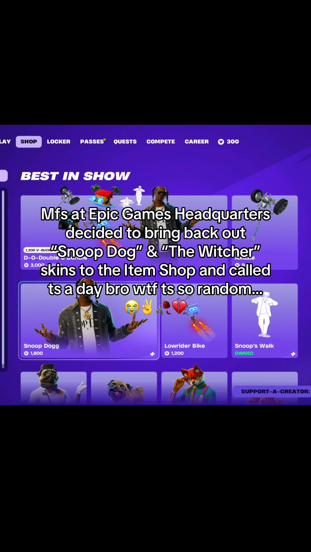 @profgiolol