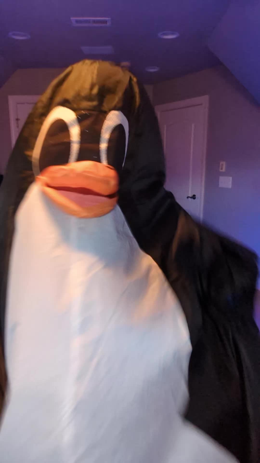 @Flipper