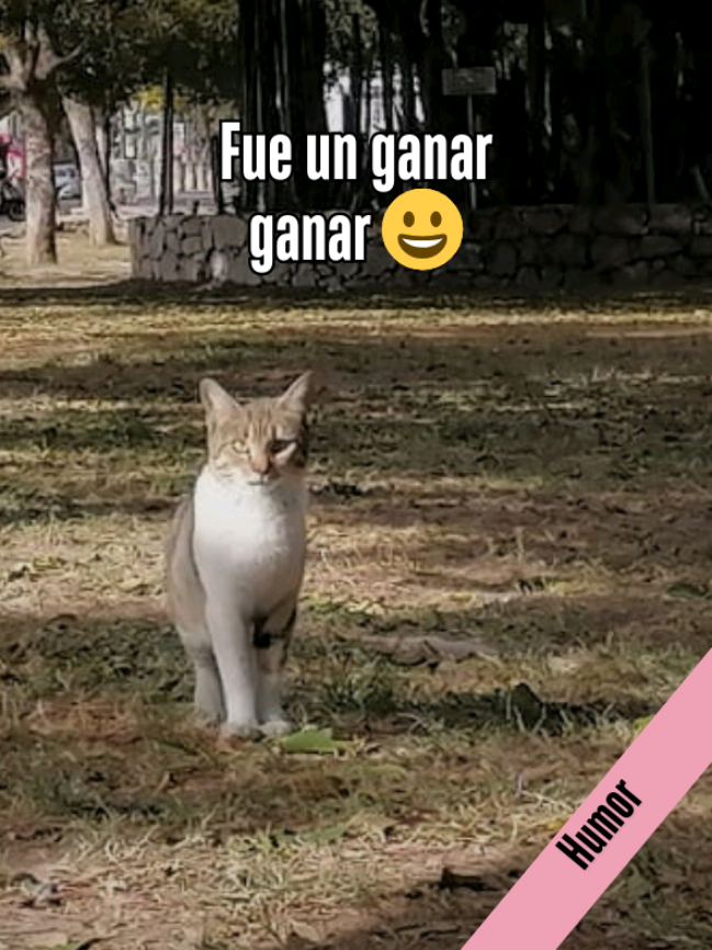@Natsu