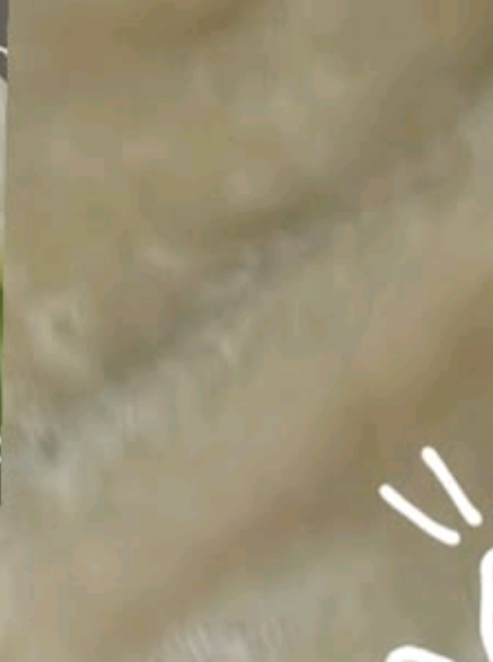 @random🫧