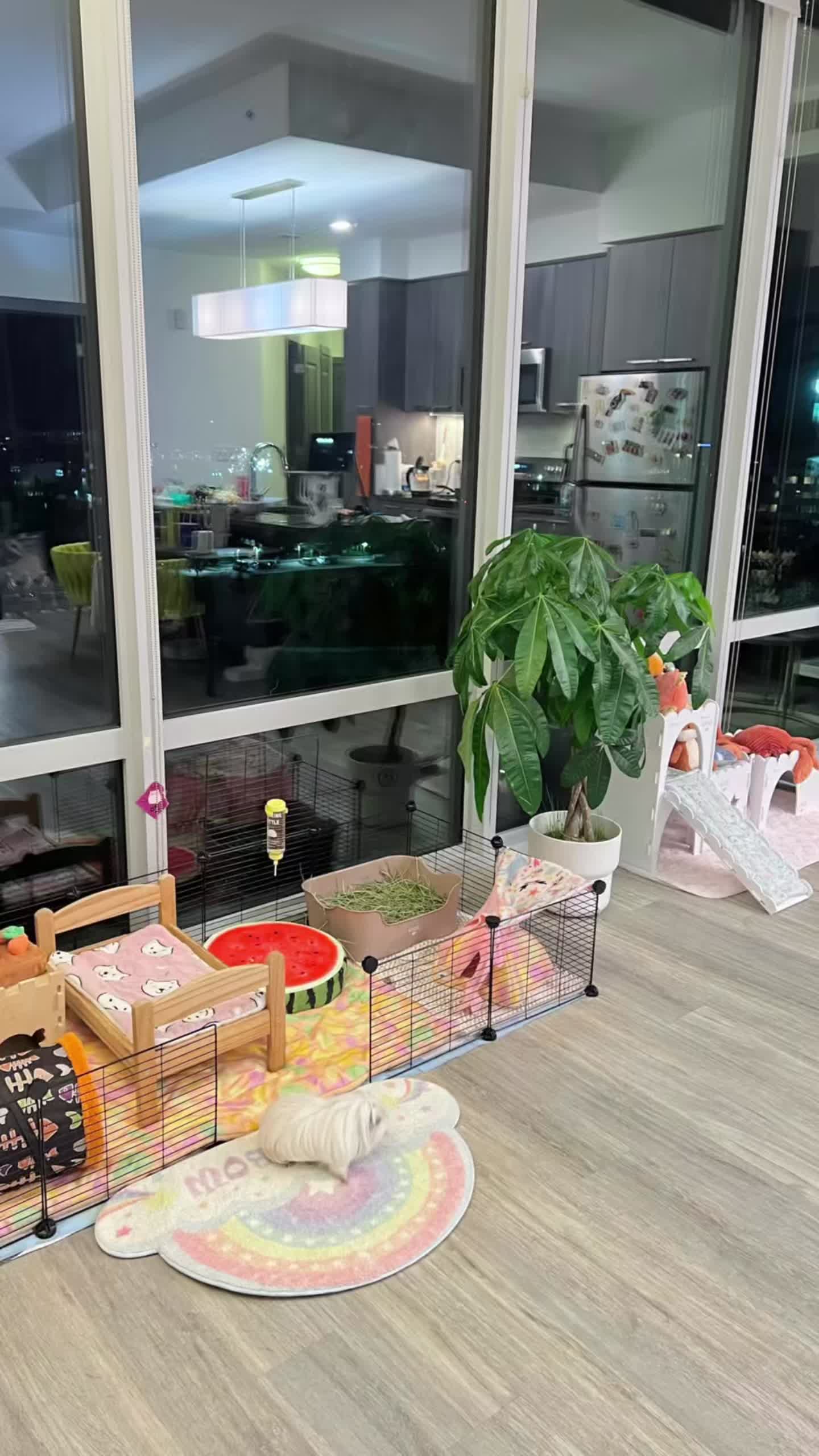 @pumpkin_panda_home