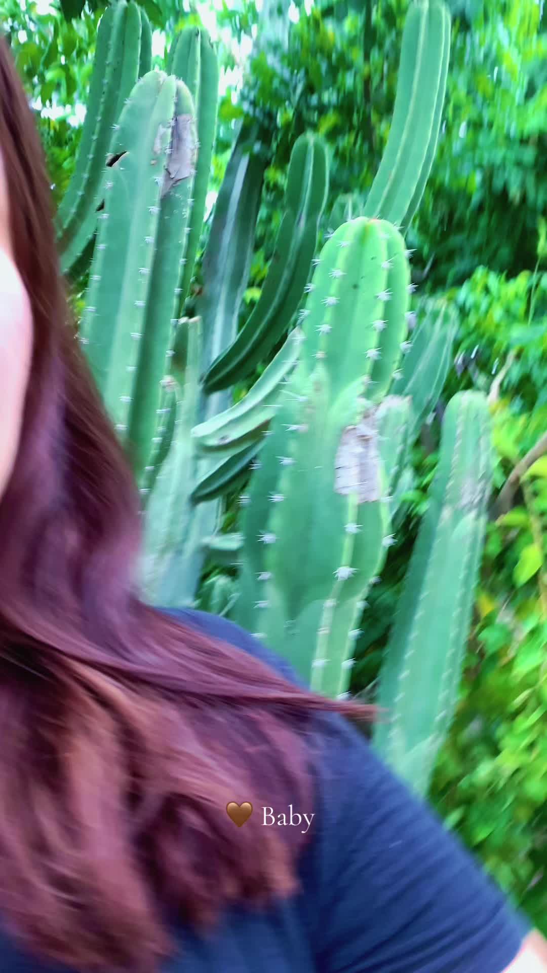 @labichotadeacapulco
