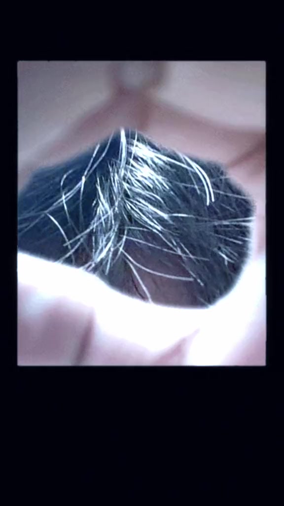 @Péngyǒu nǐ hǎo