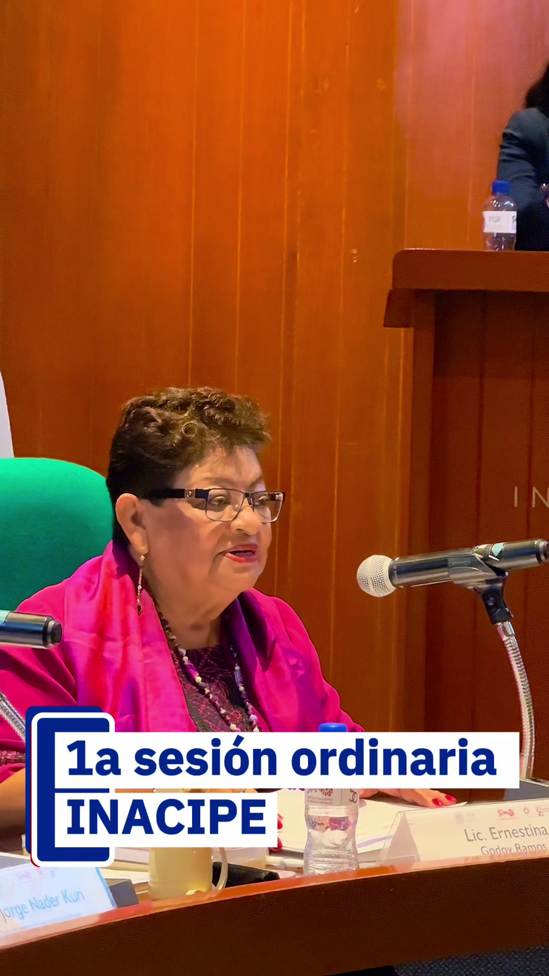 @Ernestina Godoy