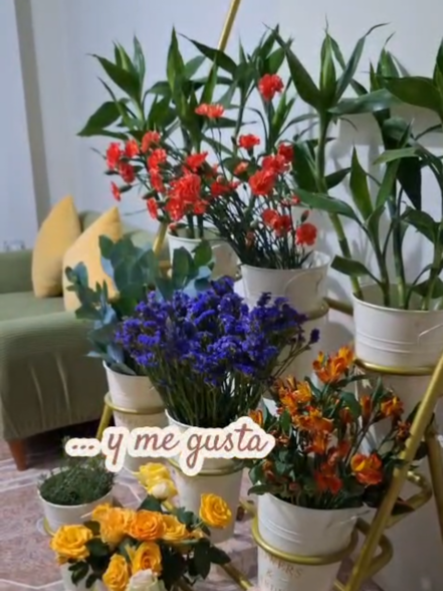 @~𝐀𝐫𝐞𝐧𝐚 Casa Floral