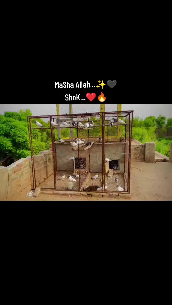 @𝐌𝐢𝐭𝐡𝐚𝐚_𝐘𝐚𝐚𝐑..✨❤