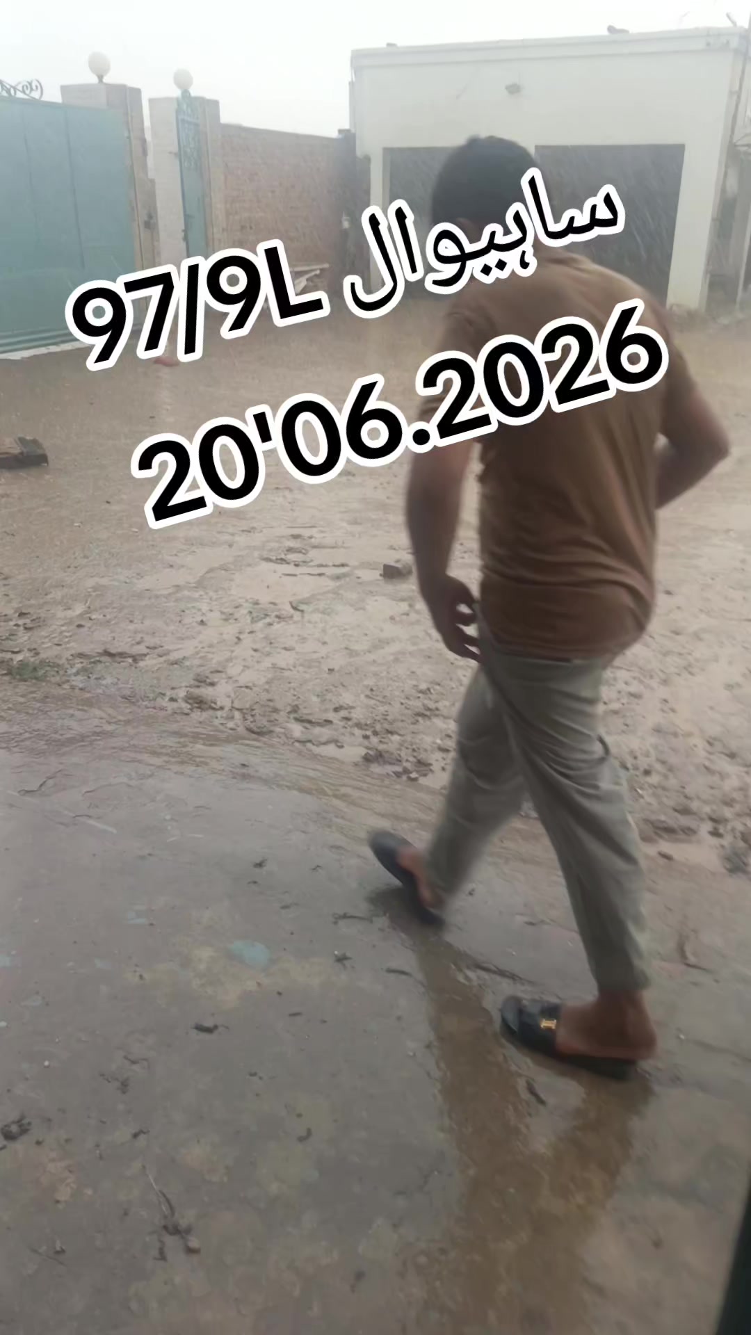@بلال بھٹی ساہیوال والا804👑
