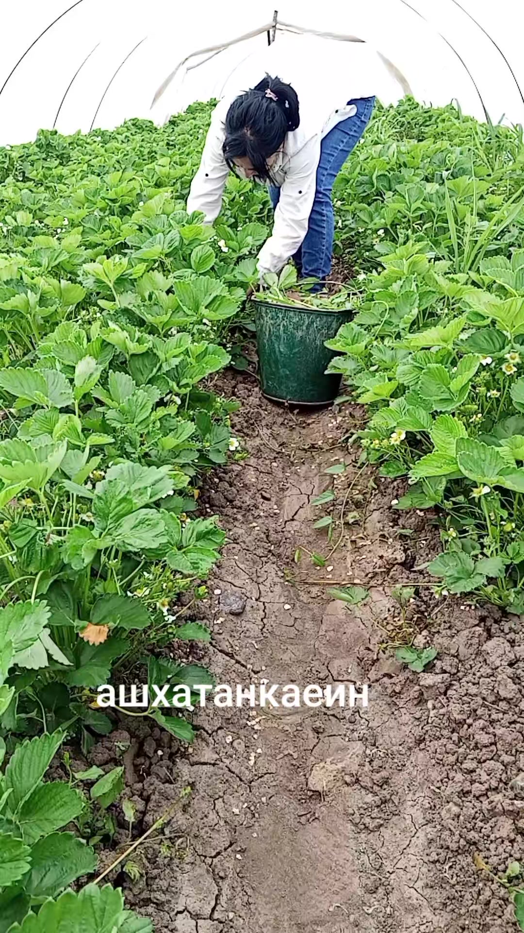 @Meri Sargsyan