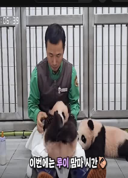 @K-PANDA kim