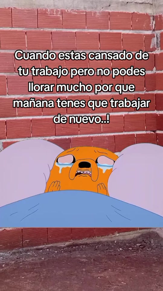 @Fer Rojas