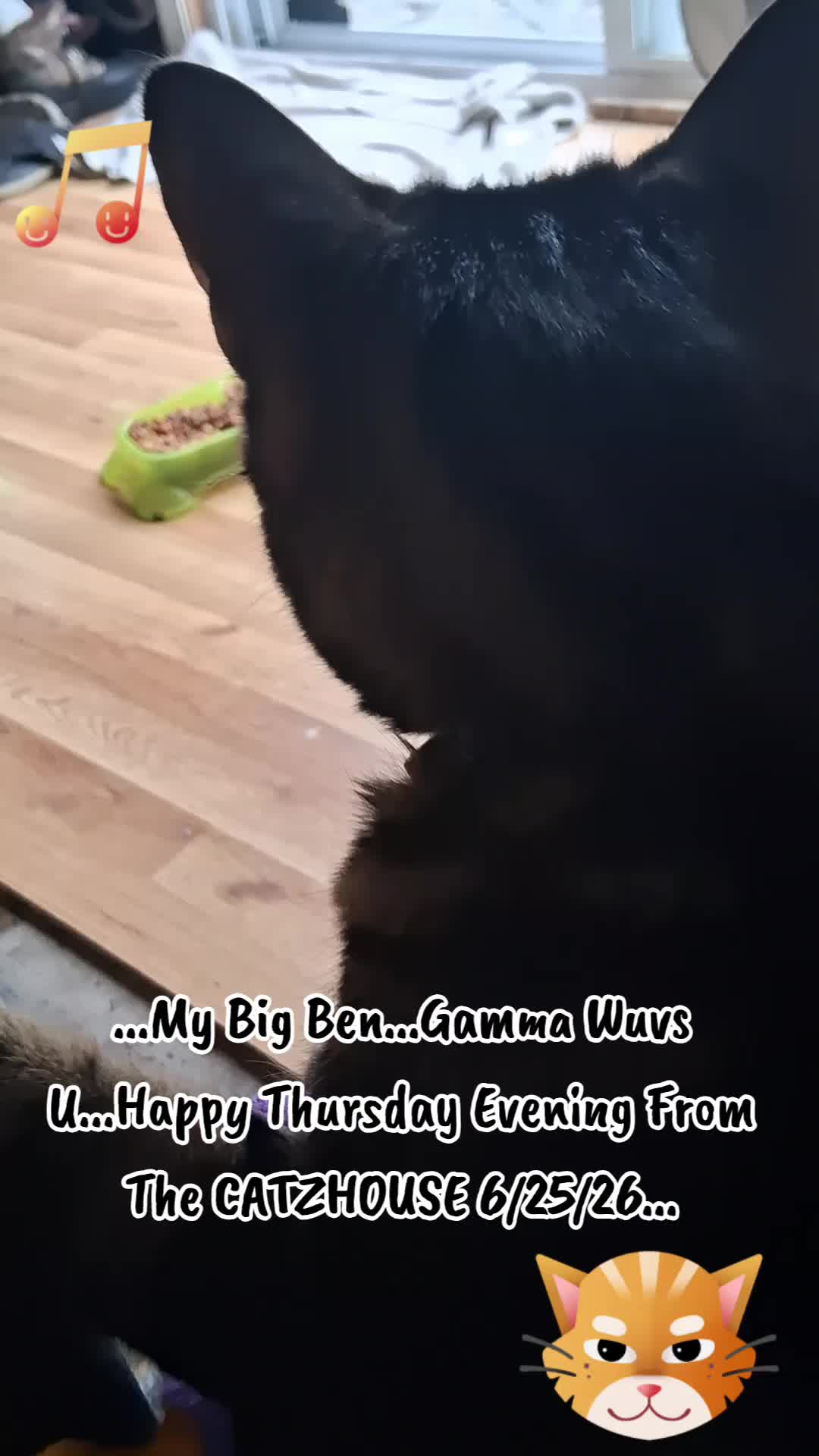 @Booh Hovey crazycatlady3