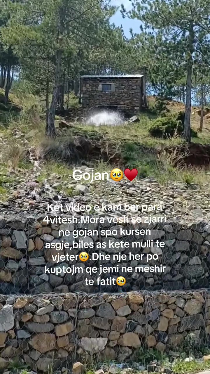 @Fatmir Tuci 🇦🇱