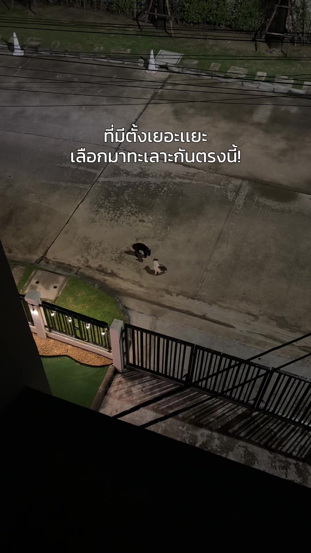 @ทัคคุณ