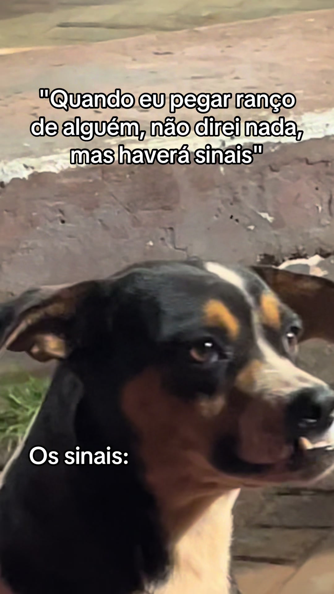 @Ana Laura Ognibene Alves