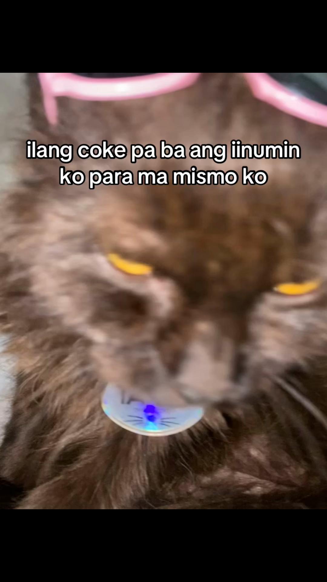 @🦋
