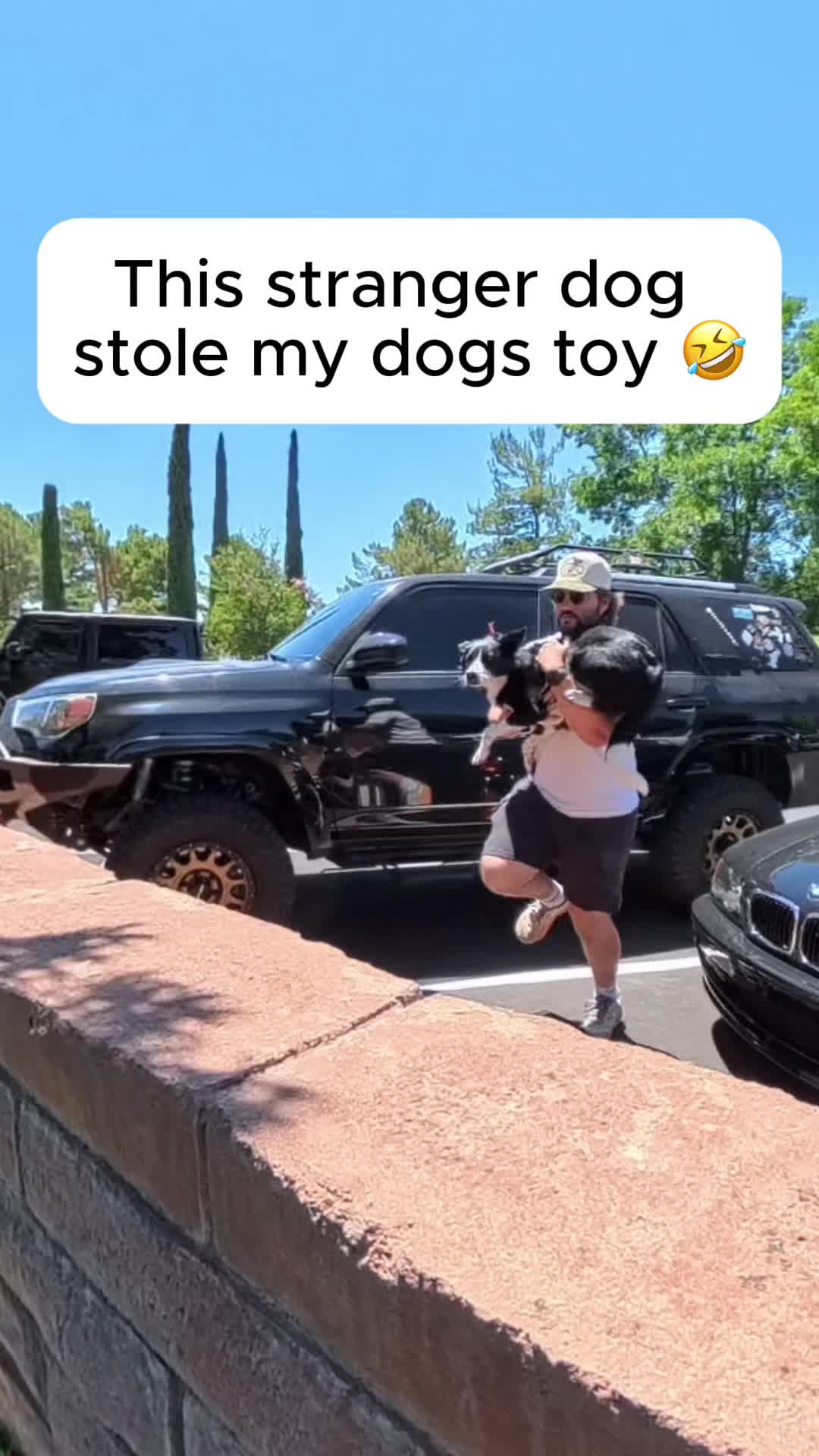 @forthedogs