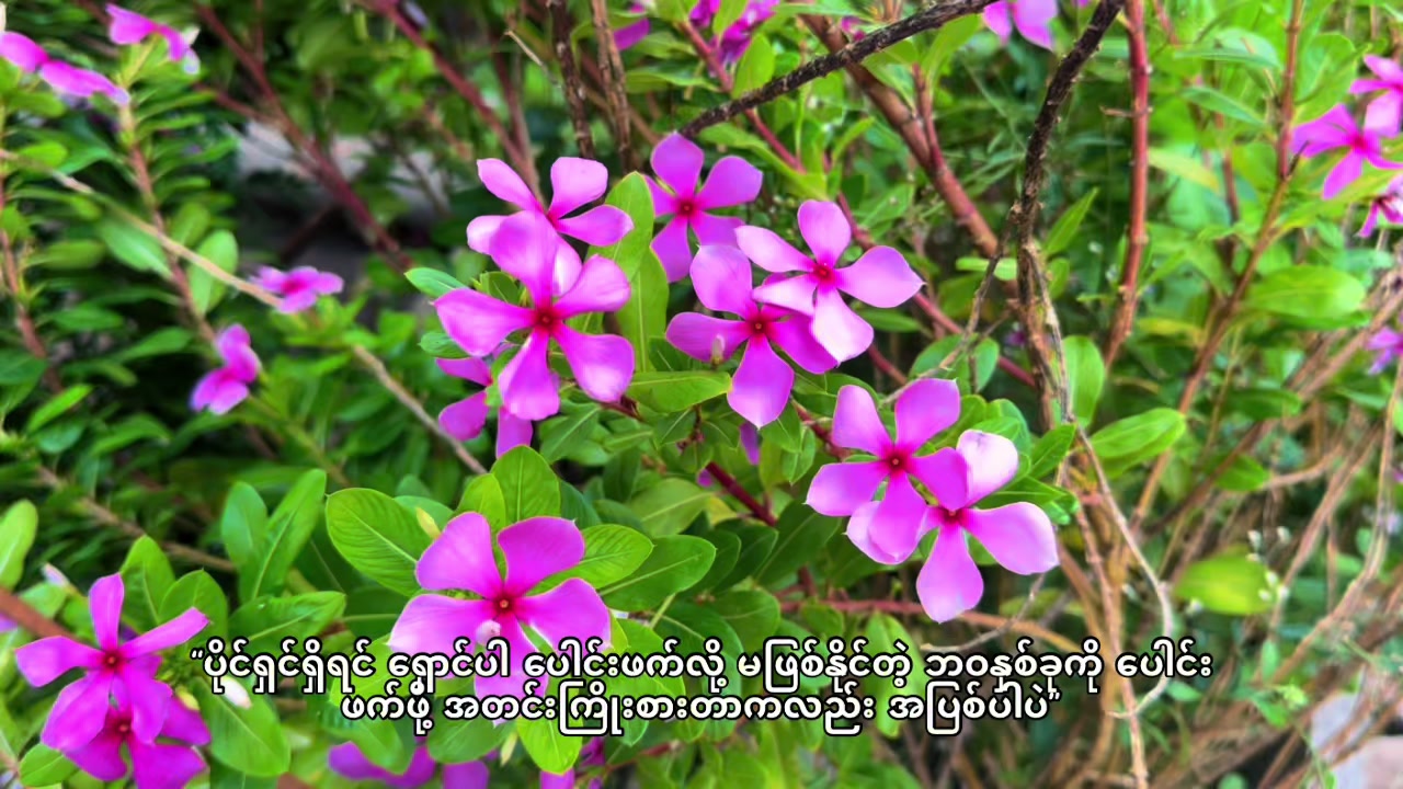 @๐๐ผ๐๐ฟ๐ผ