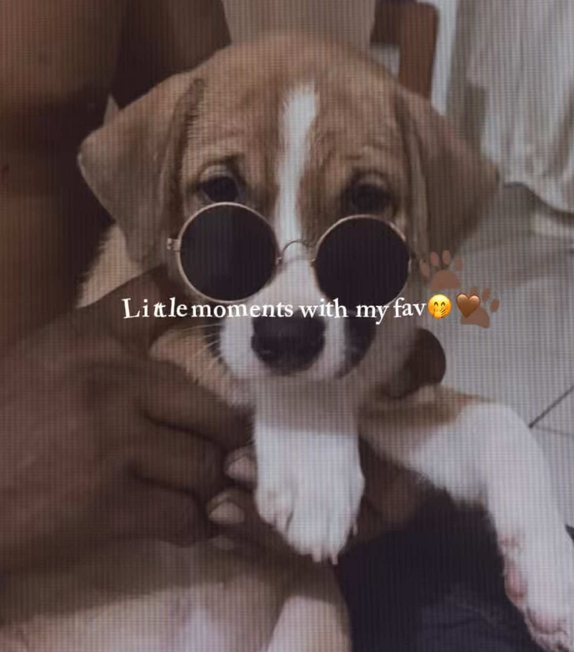 @hanyybala