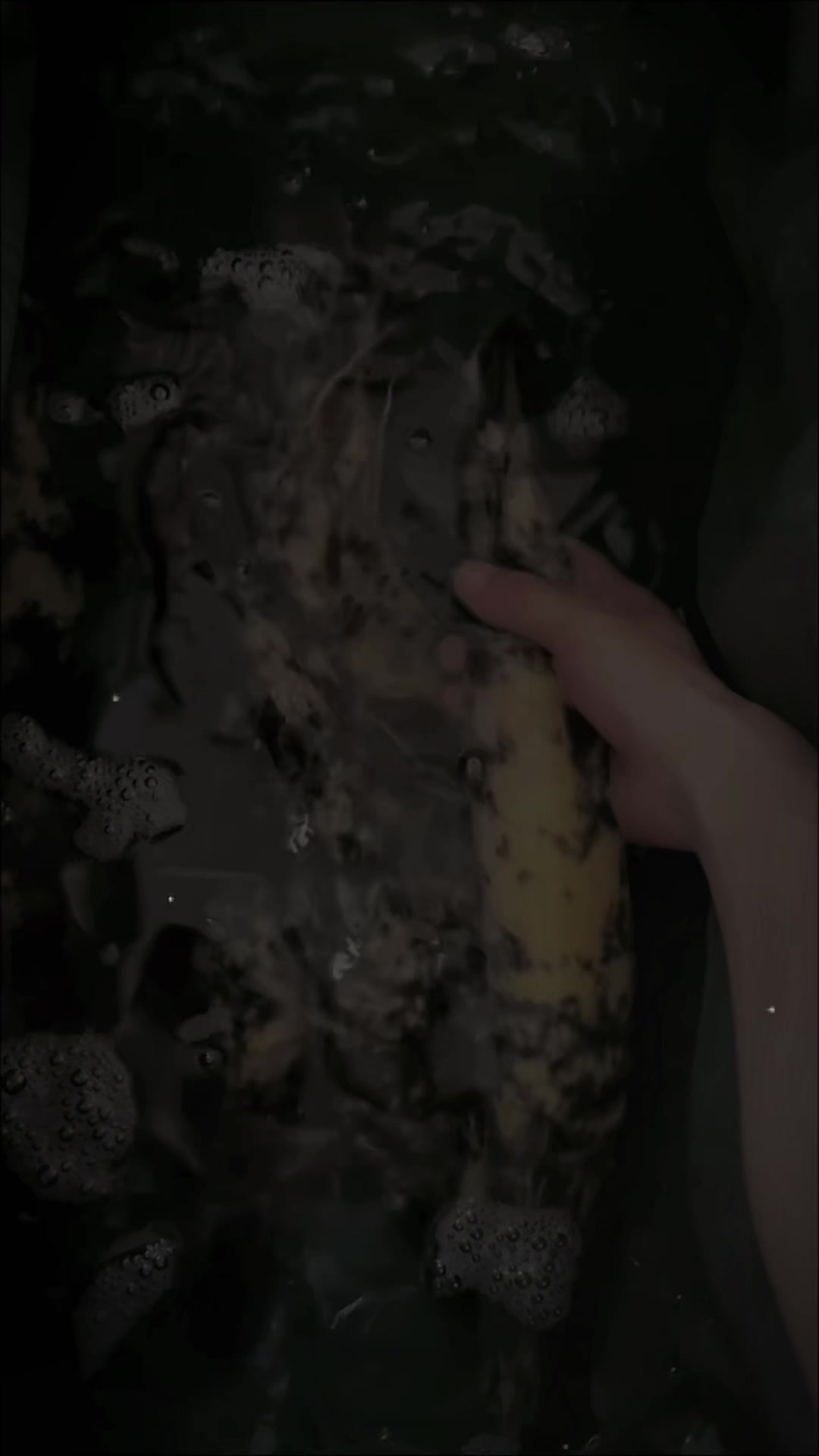 @網上看魚