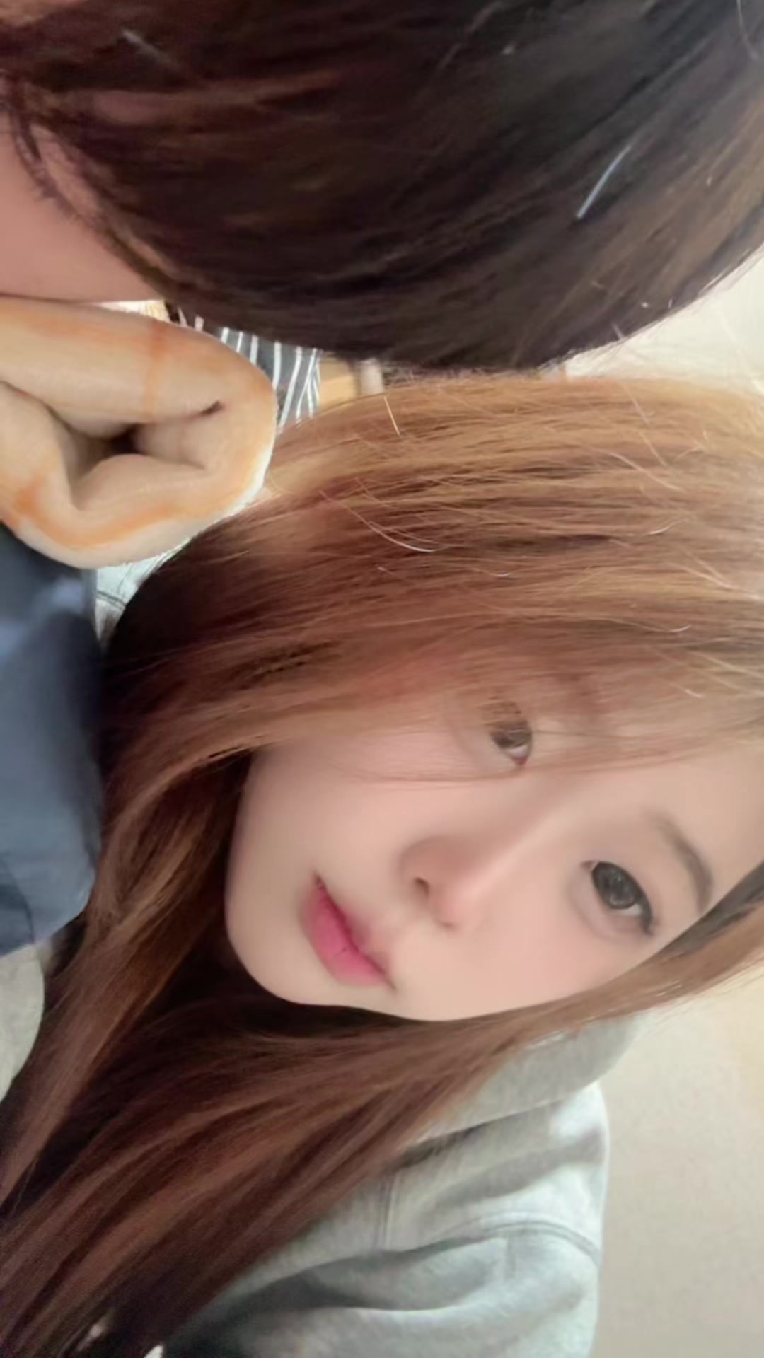 @효시
