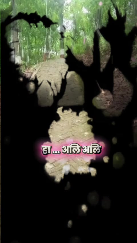 @श्रेष्ठ सप्लायर्स kumar stha