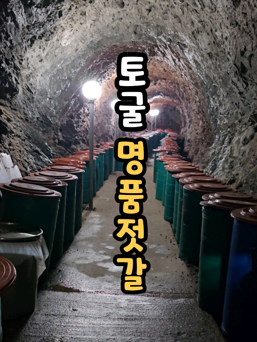 @나미제이